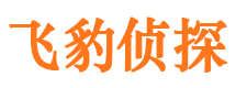 乐清市侦探公司